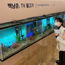 비디오백화점 일간투데이