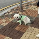 파주마늘빵맛집 선물하기도 좋은 류재은베이커리 헤이리아트밸리점 내돈내산 후기