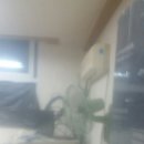 옥성초등학교병설유치원 이미지