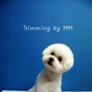 휴 애견미용 이미지