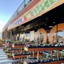 능주면 하나로마트 앞 이미지