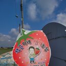택근농장 네이버블로그