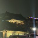 행동돼장