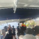 하와이 와이키키에서 거북이와 함께한 JK투어 스노클링(Snorkeling) 해양스포츠 후기
