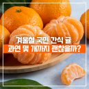국민간식 티스토리