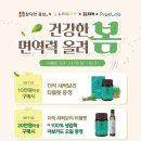 참다한홍삼부천