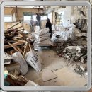 댕댕이지 이미지