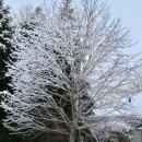 풍경스케치(주간) 이미지