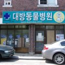 대방동물병원 이미지