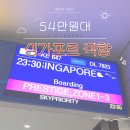 직판여행사 | 대한항공 싱가포르 직항 내돈내산, 54만 원 항공권 발권부터 기내식까지