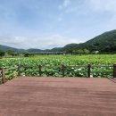 연꽃마을건넌들 이미지