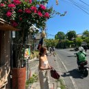 이산세탁소 | 발리 6박8일 4일차(creta cafe,짱구쇼핑 티켓투더문,Doormind 수영복쇼핑,finns비치클럽)