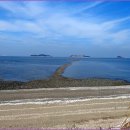 삼봉초교 이미지