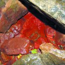 구성약수 이미지