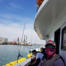 킹콩쭈꾸미 이미지