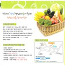 장성군청 광장 이미지