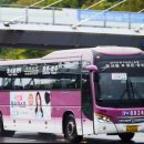 대원고속 이미지