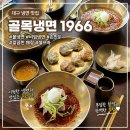 대구골목냉면 | 대구 수성구 들안길 냉면 맛집 [골목냉면1966 대구] 방문 후기