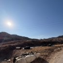 예삐하우스애견샵 | 성주 하우스소서 두 번 방문 후기, 대구 근교 대형카페 베이커리 맛집