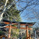 후지산 | 신쿠라야마 센겐공원 후지산 명소 후기