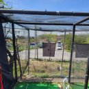 마스타골프 이미지