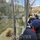 광주광역시 우치동물원 동물병원 이미지