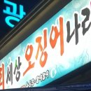 회세상오징어나라