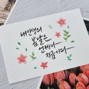 감성을 쓰다 캘리그라퍼 이미지