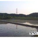 민들레2농장 이미지