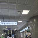 송림공원 주차장 입구 횡단보도 앞 | 김해공항 근처 무료 주차장 추천_삼락생태공원 P8주차장 후기 김해공항 가는방법