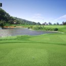 리얼스크린골프존 이미지