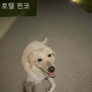 호텔핀코 이미지