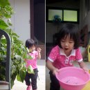 상안농장 이미지