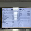 겨울나는나비동물병원 네이버블로그