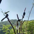 목수와 시인 이미지