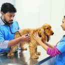 바로 동물병원 이미지