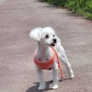 펫플러스라이프 이미지