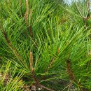 동천농장 이미지