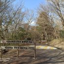 푸리롱 유아숲체험원 이미지