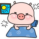 이뮨케어 이미지