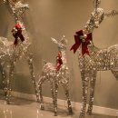 Hostel Vene(호스텔 베네) 이미지