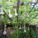 소중농장 이미지