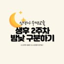 정재호한의원 | 신생아 수면교육 2주차 밤낮 구분하기 ft. 대전 미즈 산후조리원 후기