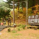 청태산자연휴양림 이미지