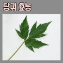 아이엠간식 이미지