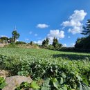 돈키호테공인중개사사무소 이미지