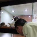 신공항동물병원 이미지