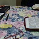 진서농장 이미지