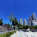 와이레이디여성의원 이미지