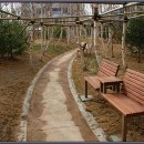 석우초등학교 이미지